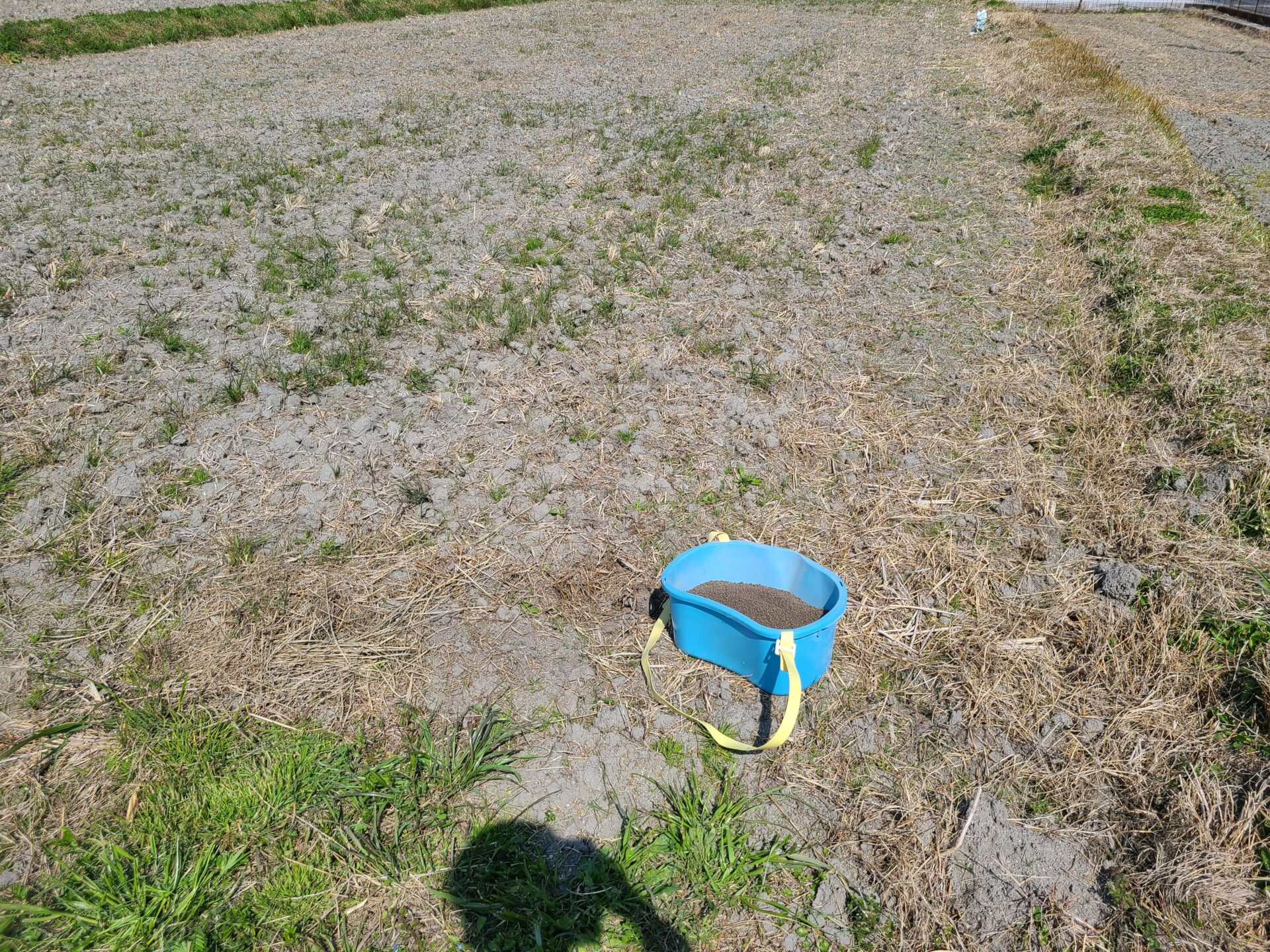 施肥が無事に終わりました!!