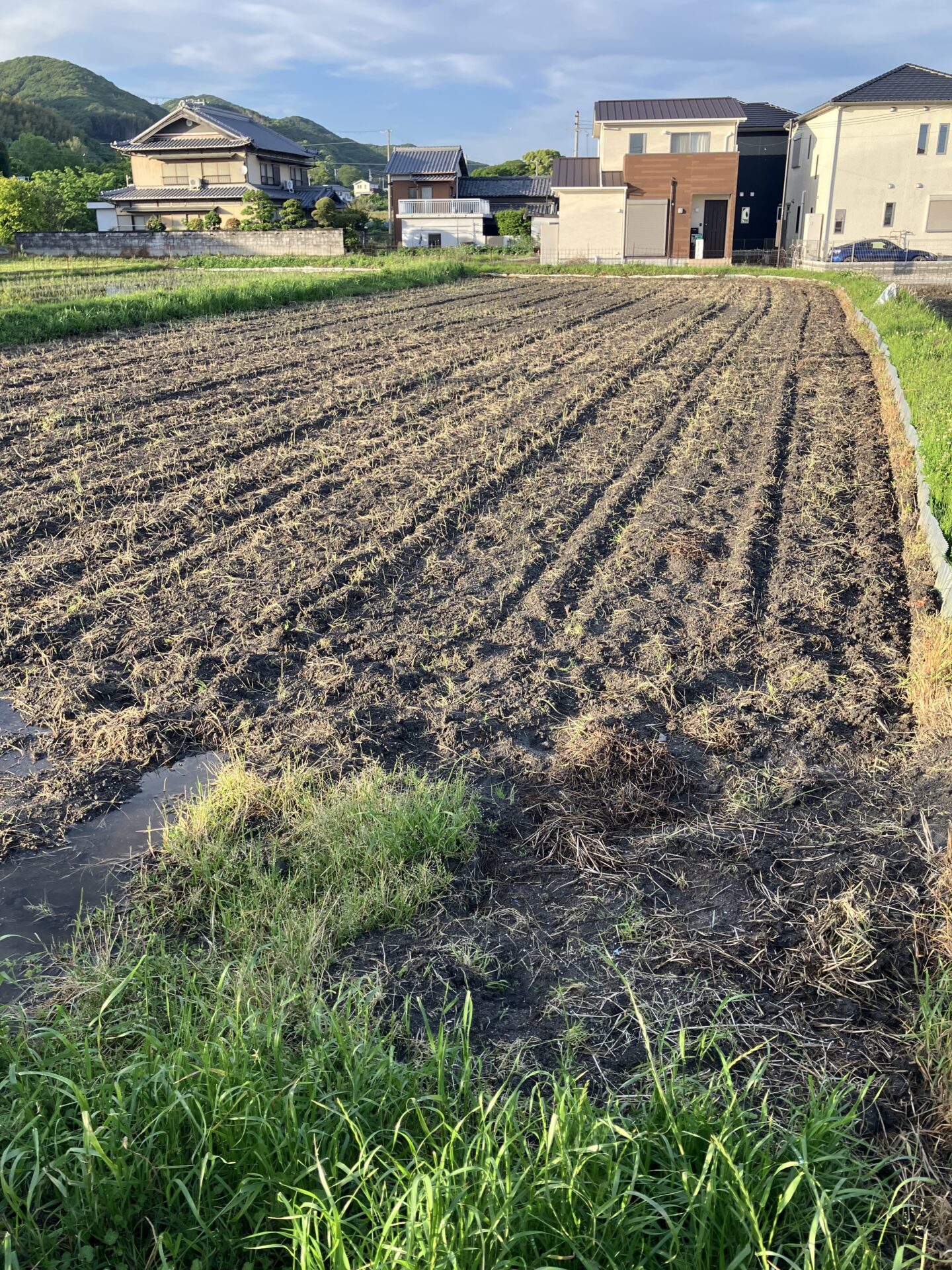 そろそろ田植えの時期ですね〜